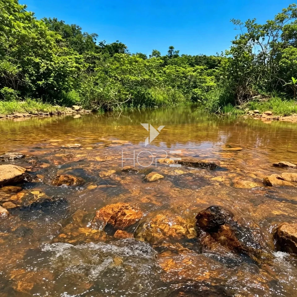 Imagens do imóveis Fazenda à Venda - Setor Agrobusiness – 146 Hectares – Grão Mogol/MG