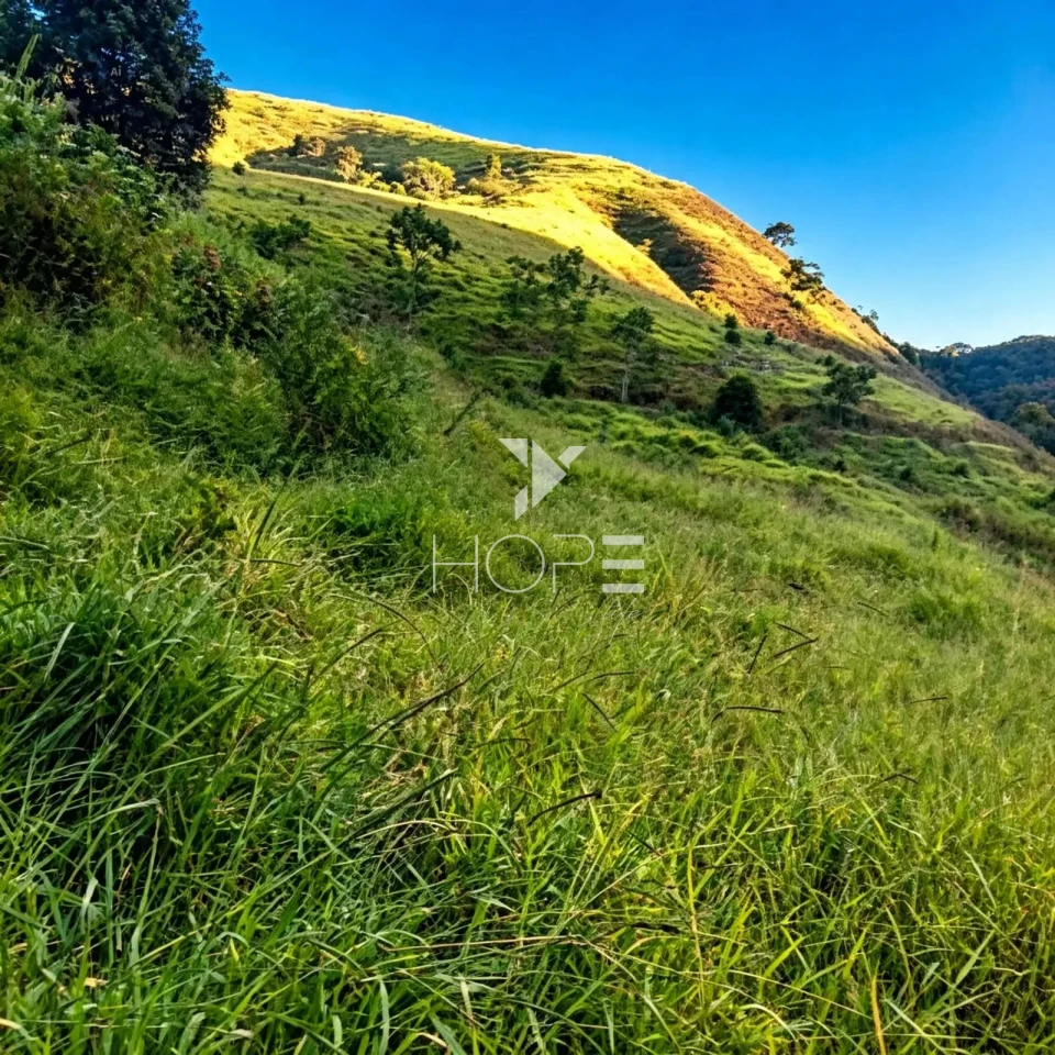 Imagens do imóveis Fazenda à Venda com Infraestrutura Completa – 294,30 Hectares – Carmésia/MG