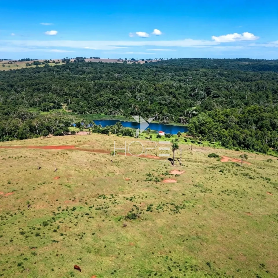 Imagens do imóveis Fazenda à Venda com Aptidão Pecuária - Topografia Plana – 560 Alqueires – Rosana/SP - Fronteira SP - PR - MS