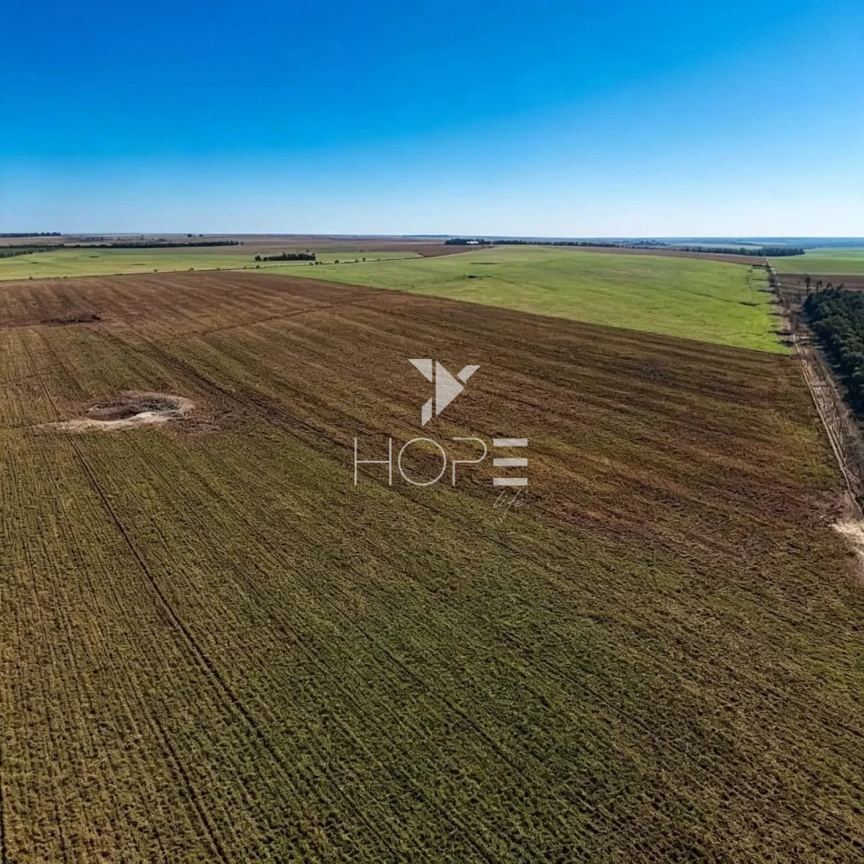 Imagens do imóveis Fazenda à Venda - Agricultura e Pecuária - Topografia Plana – 5.359 Hectares – Sonora – Sonora/MS