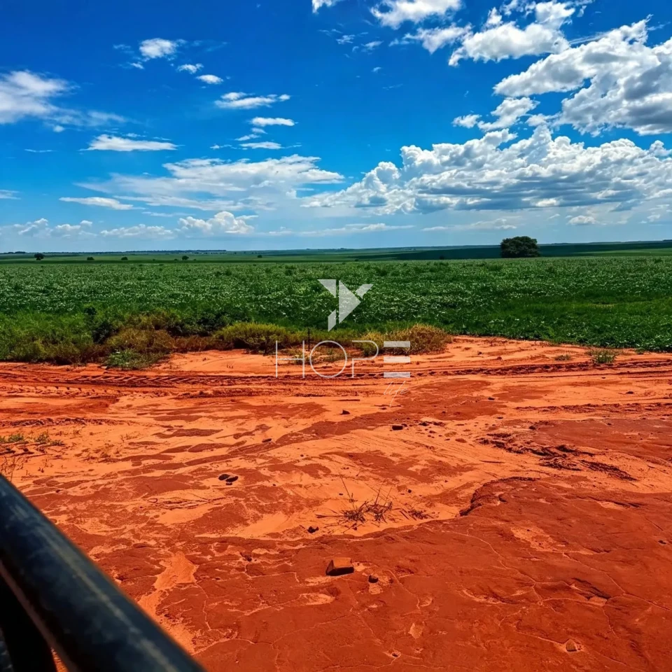 Imagens do imóveis Fazenda à Venda Produtiva de Grãos – 335 Alqueires – Navirái/MS