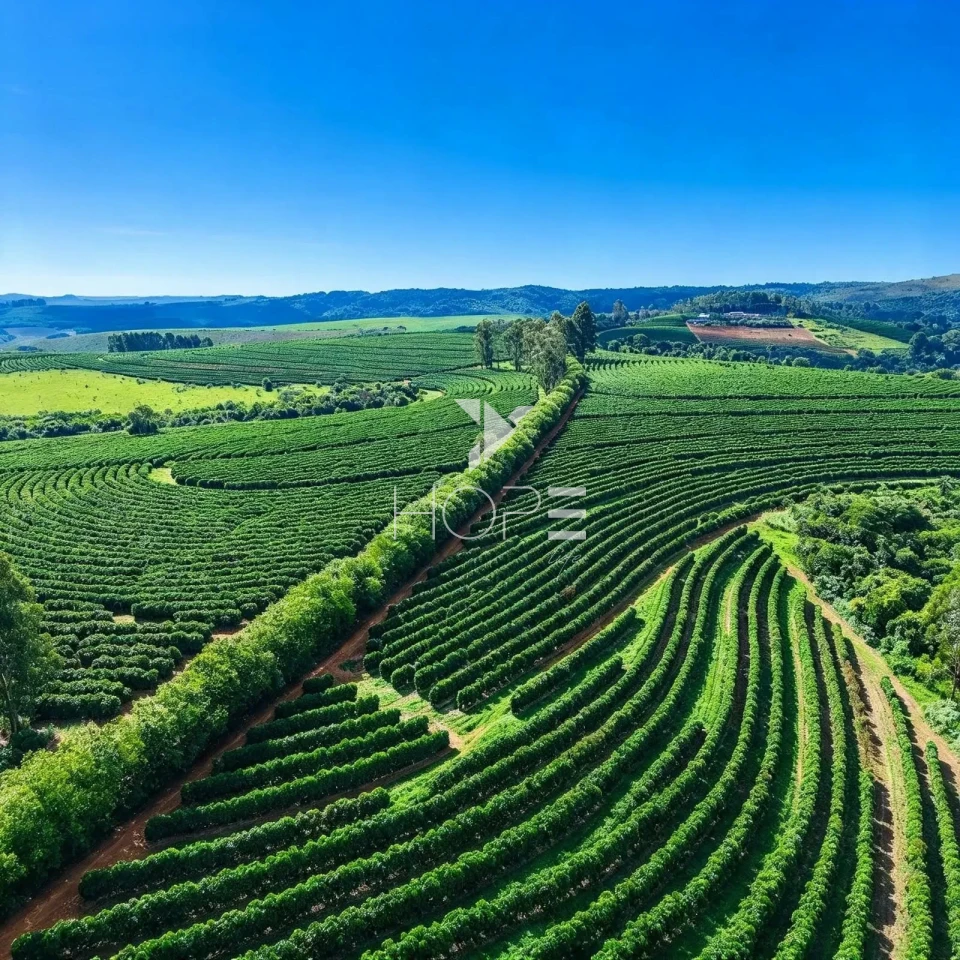 Imagens do imóveis Fazenda cafeeira à Venda – 750 Hectares – Próximo a São Roque – MG