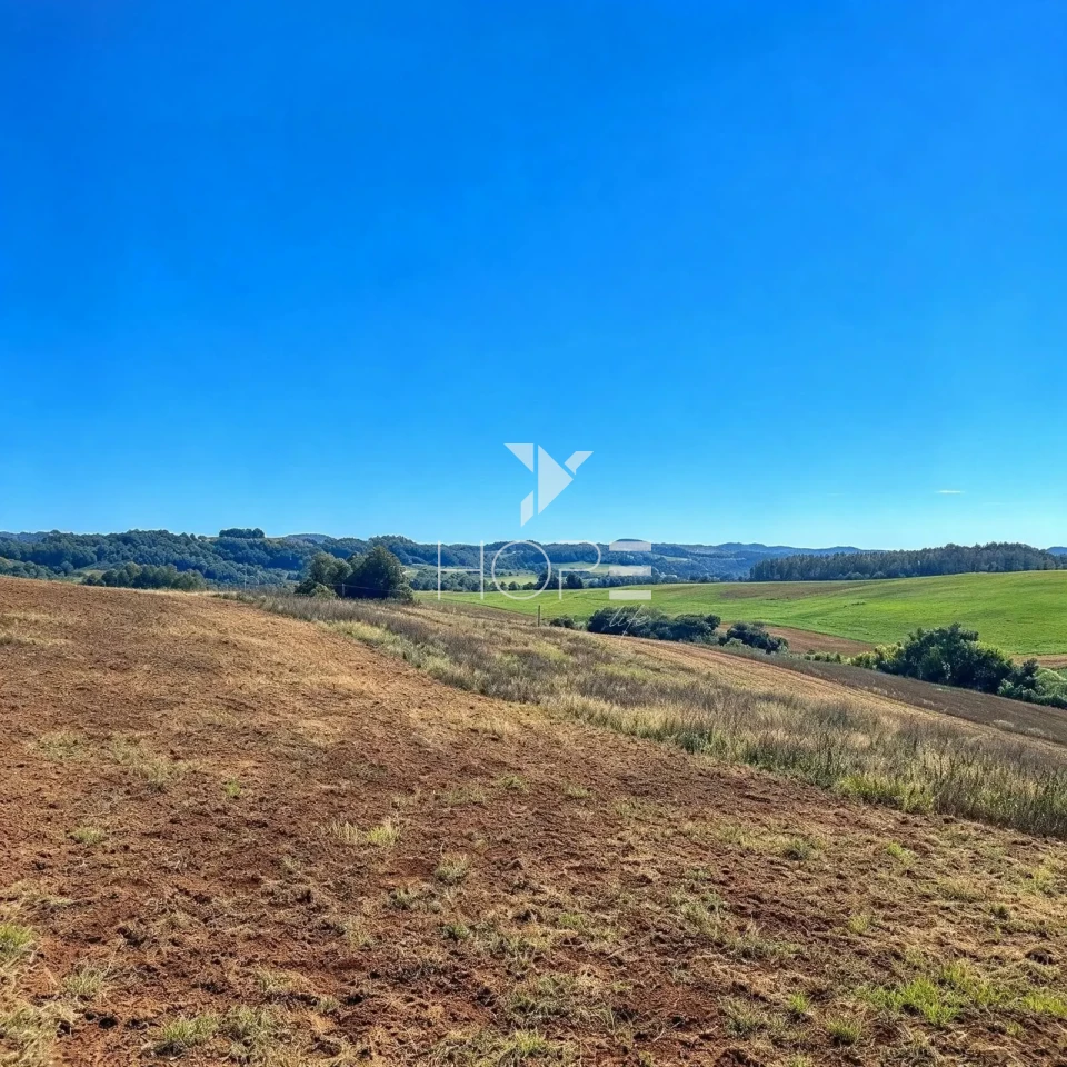 Imagens do imóveis Fazenda à Venda com Dupla Aptidão - Pecuária e Agricultura – 495 Alqueires – Francisco Beltrão – Francisco Beltrão/PR