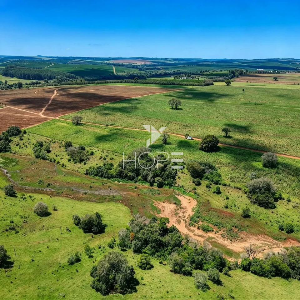 Imagens do imóveis Fazenda à Venda – 99,3 Hectares – Avaré/SP