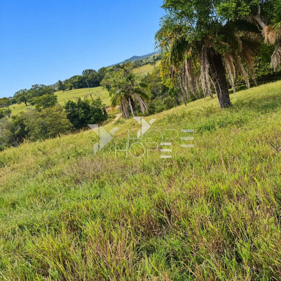 Imagens do imóveis Fazenda à Venda – Zona Rural – Rubiataba/GO