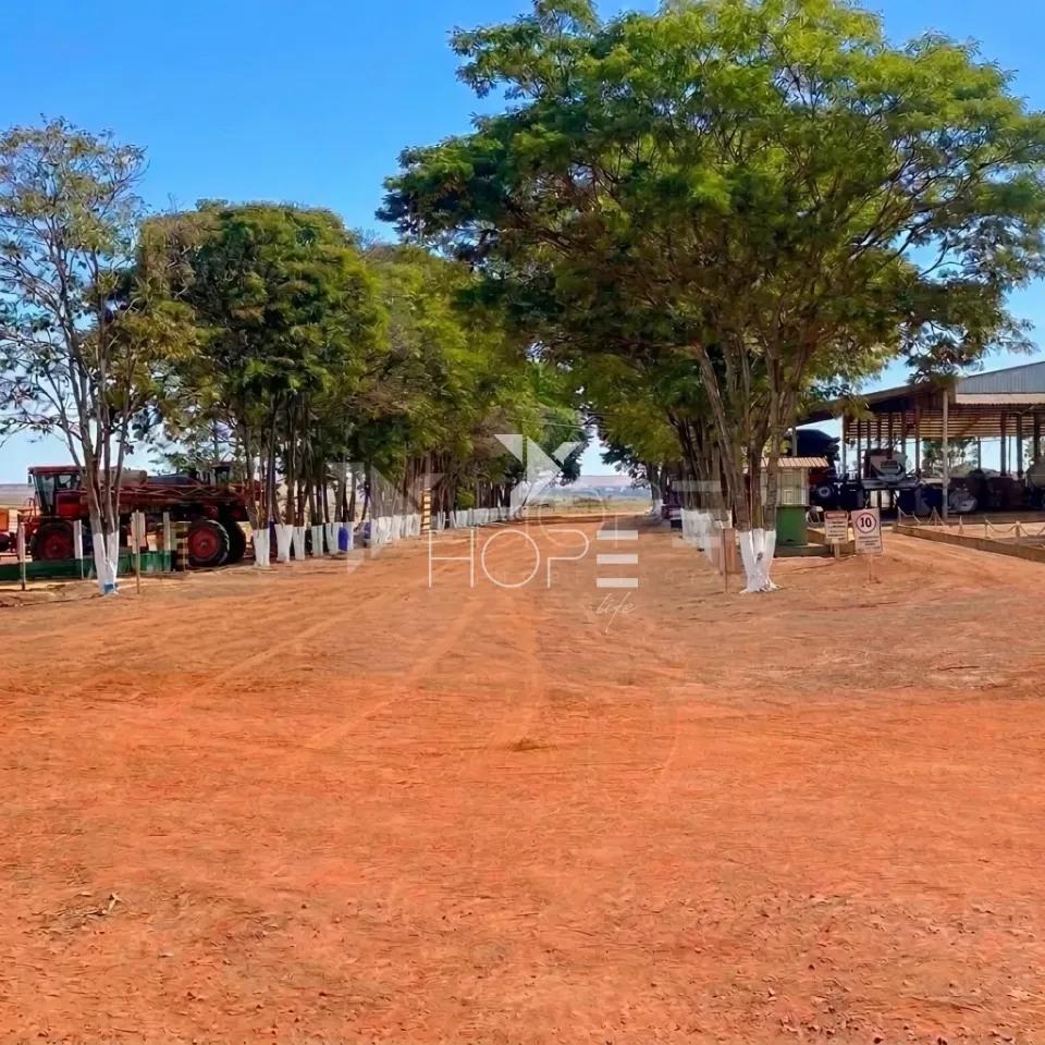 Imagens do imóveis Fazenda de Cafeicultura à Venda – 4.767,18 Hectares – Cafeicultura e Produção de Grãos – Unaí/MG
