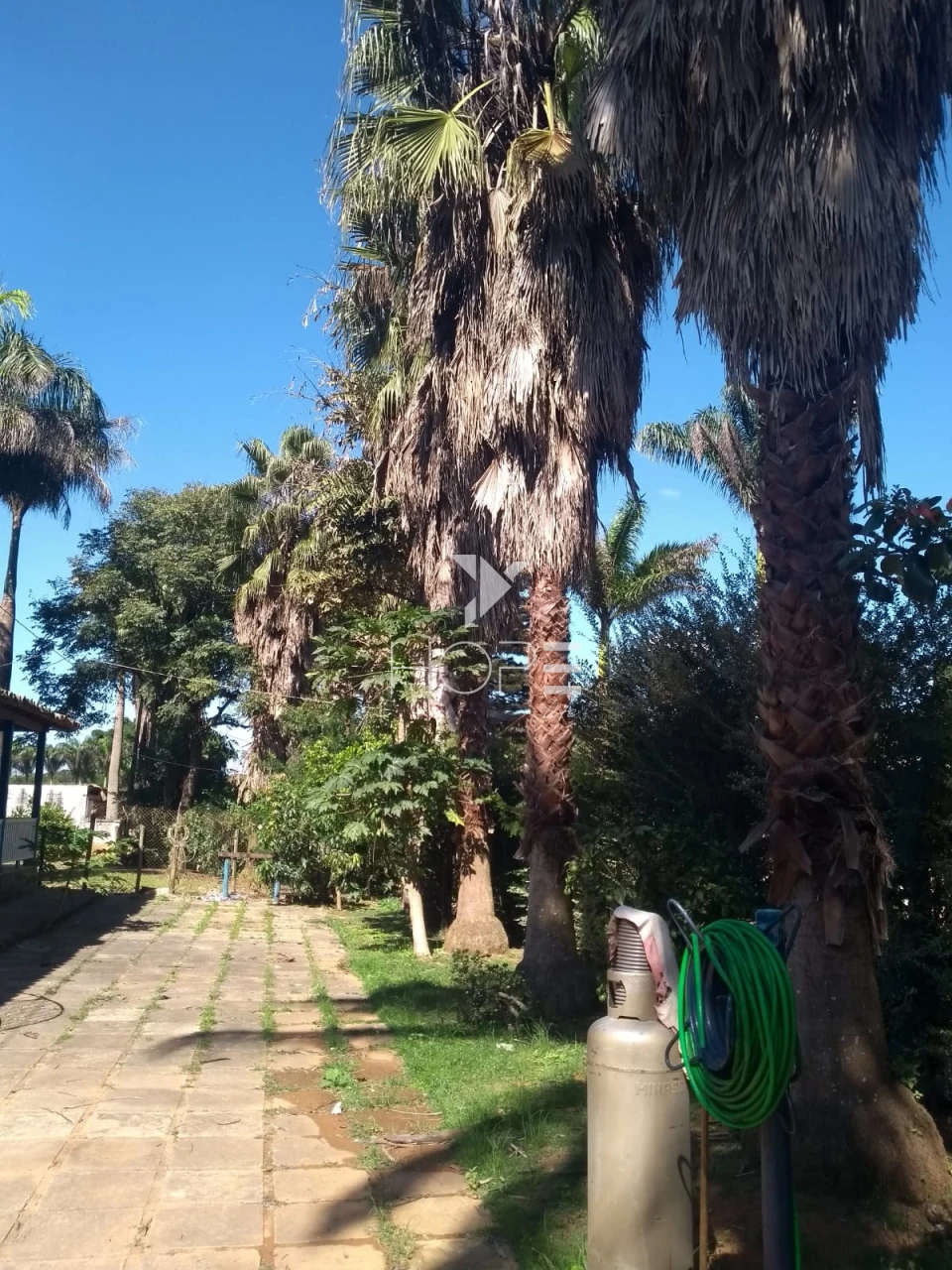 Imagens do imóveis Fazenda à venda 1.006 hectares cafeeira – região de Campos Altos – Minas Gerais