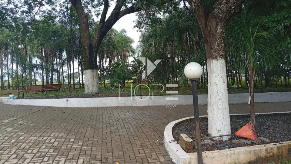 Imagens do imóveis Fazenda à venda com 260 alqueires - 201 formados - confinamento - apta para pivô - Mozarlândia GO