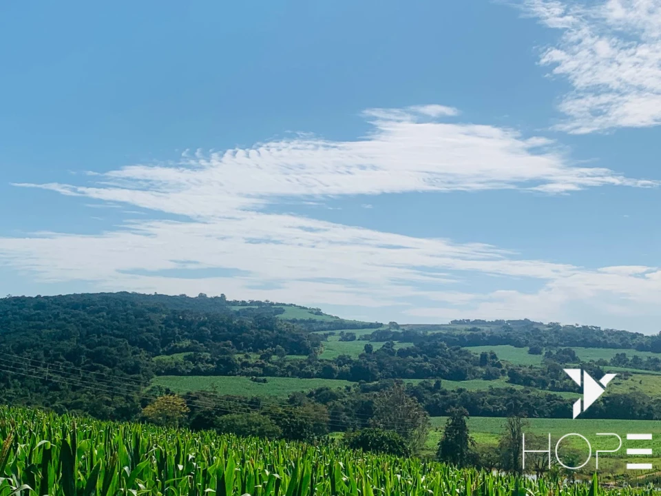 Imagens do imóveis Fazenda à Venda – 84 Alqueires – Sertanópolis/PR