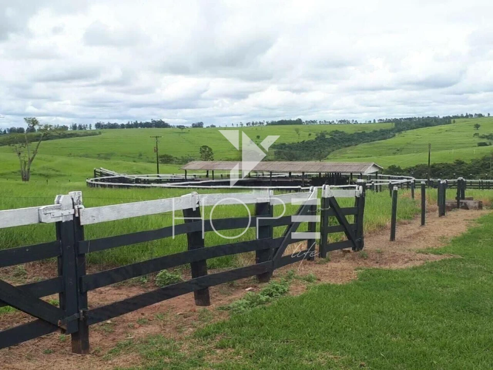 Imagens do imóveis Fazenda à venda 217 alqueires pecuária – Moreira Sales – Paraná