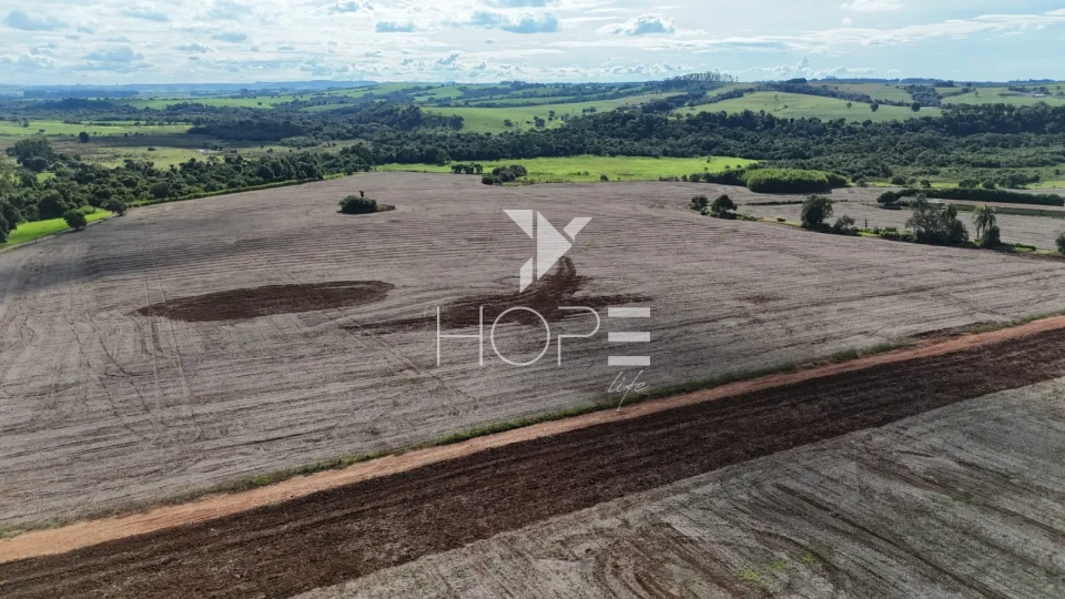 Imagens do imóveis Sítio à venda com 25 alqueires (61 hectares) - 15 alqueires em plantio - Itapetininga SP