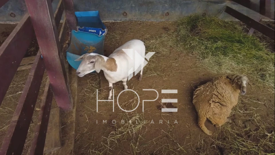 Fazenda à venda – 80 alqueires – Tatuí/SP – Próxima a Sorocaba