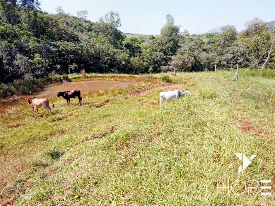 Imagens do imóveis Sítio à venda – 18 hectares – Tamarana/PR