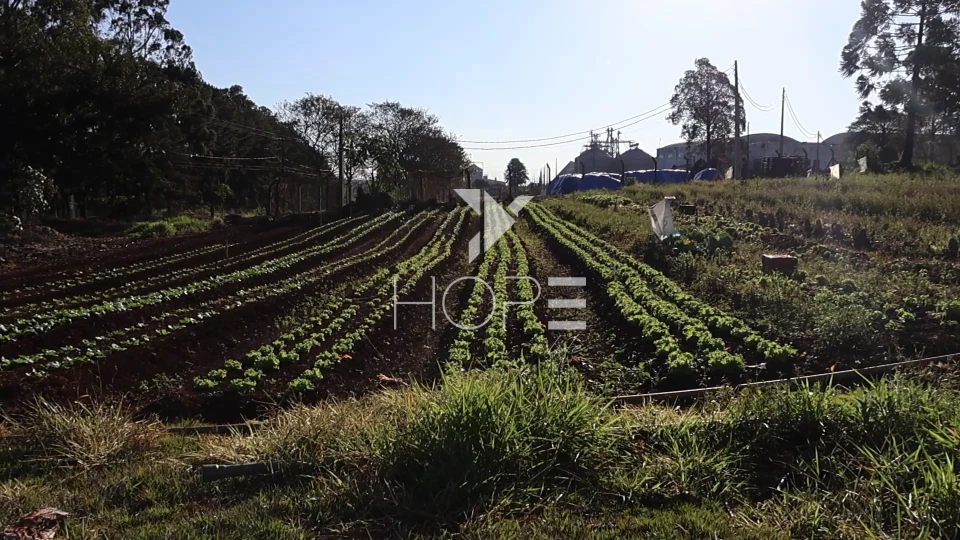 Imagens do imóveis Terreno industrial à venda com 42.000m² - frente para rodovia - Lotes fracionável - Tamarana PR
