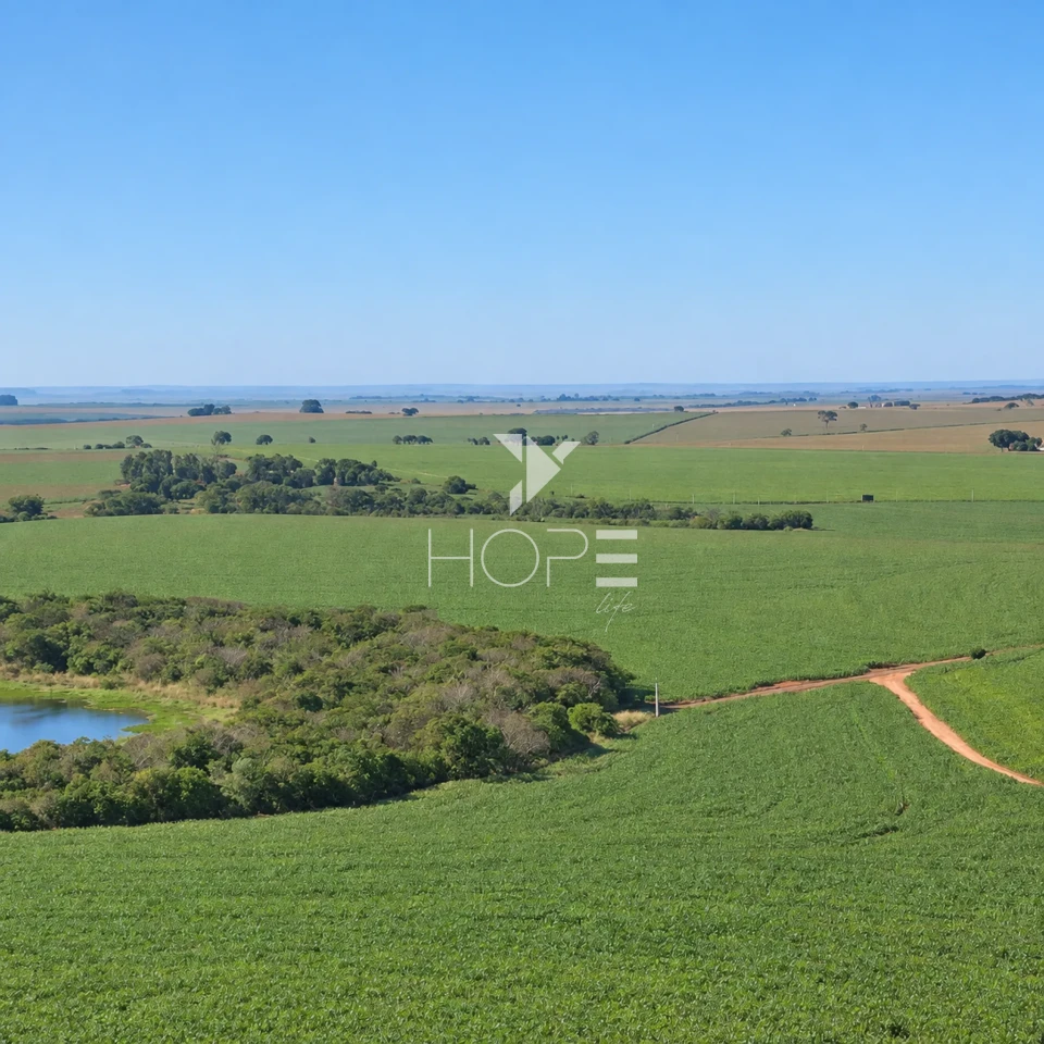 Imagens do imóveis Fazenda á Venda - 755 Hectares - Frente para a Represa do Rio Tibagi - Sertaneja/PR