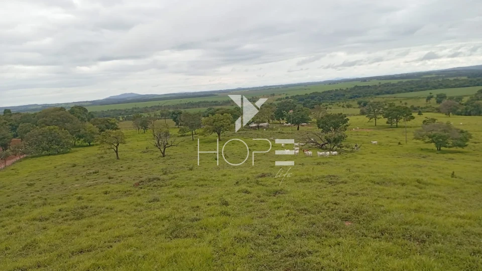 Imagens do imóveis Fazenda à venda com 260 alqueires - 201 formados - confinamento - apta para pivô - Mozarlândia GO