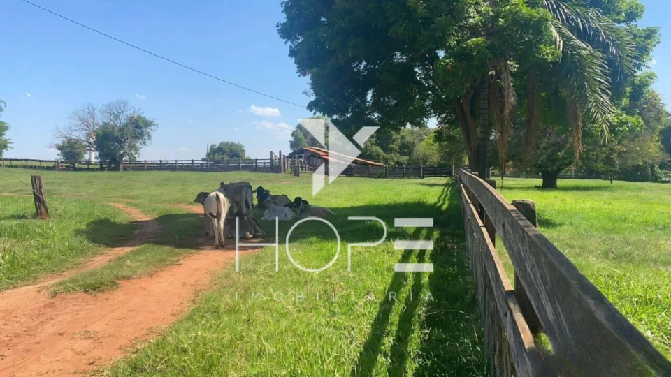 Imagens do imóveis Fazenda à Venda em Santo Antônio do Aracanguá/SP – 203 Alqueires (491.26 ha) – Área com Estrutura Completa