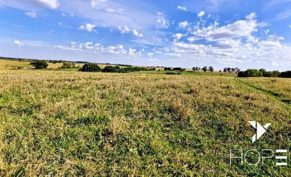 Fazenda à Venda – 155 Alqueires – Nossa Senhora das Graças/PR