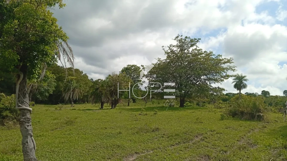 Imagens do imóveis Fazenda à venda com 72 alqueires - 55 em pasto - pronta - curral completo - região de Morro Agudo - Faina GO