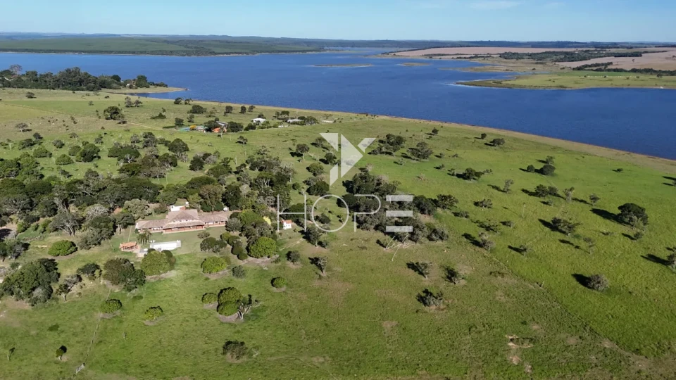 Imagens do imóveis Fazenda à venda com 148 alqueires - eucalipto e pastagem - margem para represa - Paranapanema SP