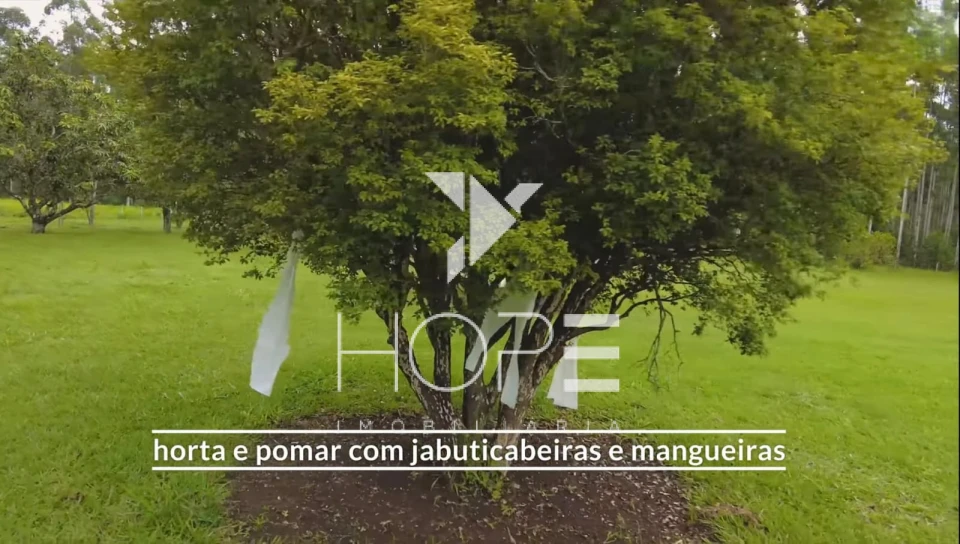 Fazenda à venda – 80 alqueires – Tatuí/SP – Próxima a Sorocaba