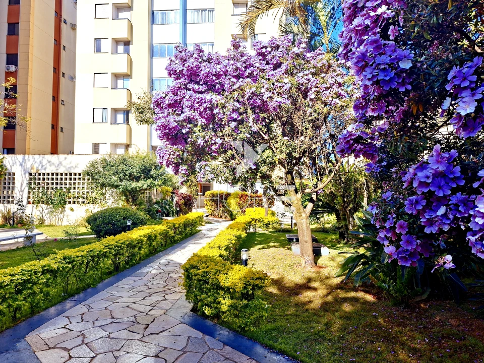 Imagens do imóveis Edifício Portal dos Jardins - apartamento à venda  77 m² - 3 quartos - 1 suíte - sol da manhã - próximo à Av. Tiradentes - Londrina PR
