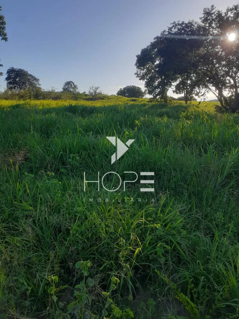 Fazenda à Venda – 1.033 Alqueires – Região de Peixe/TO – Dupla Aptidão