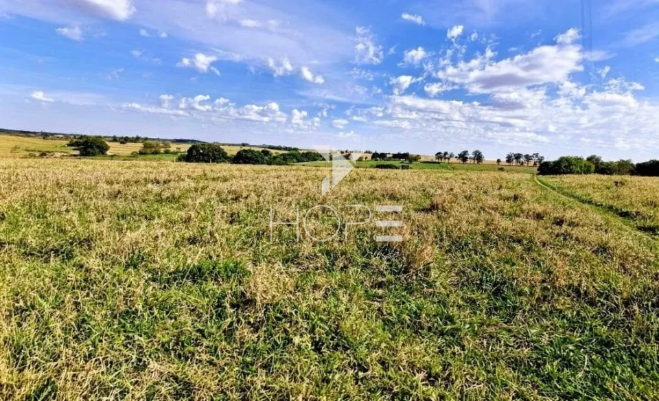 Imagens do imóveis Fazenda à venda com 155 alqueires - dupla aptidão - beira de rodovia - Nossa Senhora das Graças PR