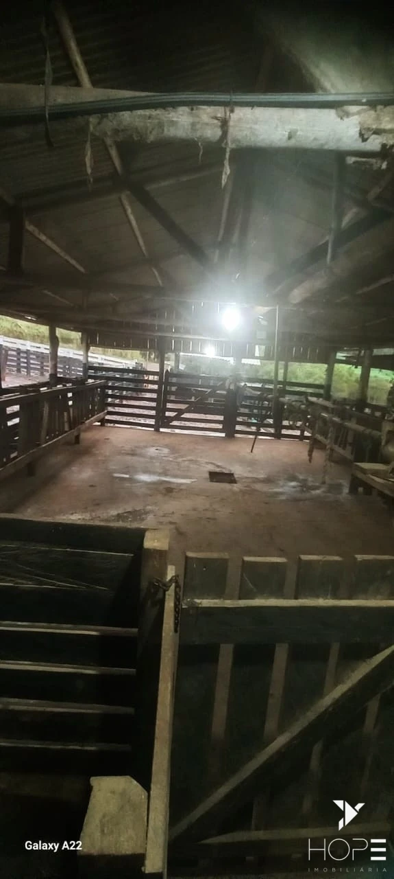 Imagens do imóveis Sítio Escriturado à venda – 6,25 alqueires – Tamarana/PR