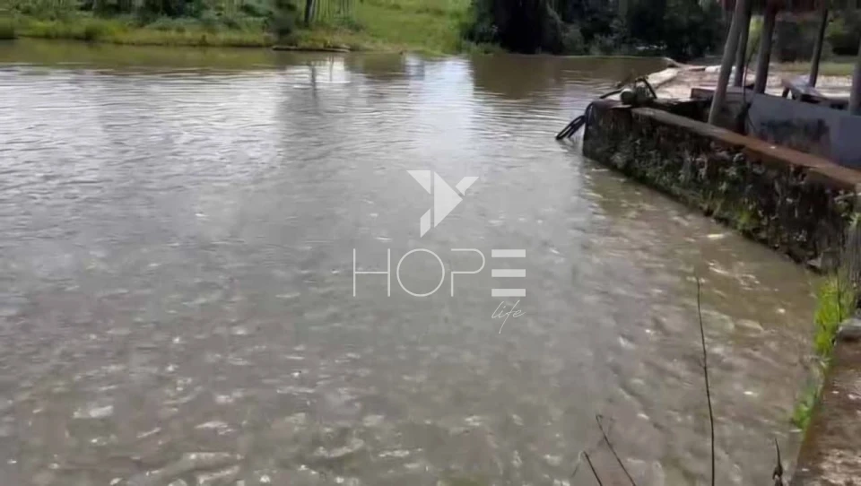 Imagens do imóveis Fazenda à venda 2.725 hectares pecuária porteira fechada – região de Monte Alegre de Goiás – Goiás