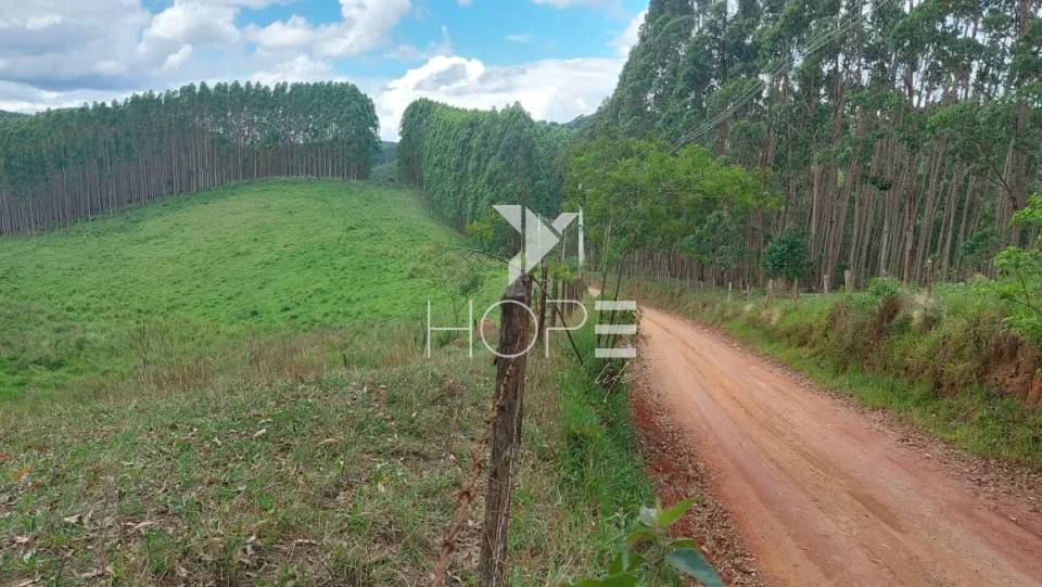 Imagens do imóveis Fazenda de eucalipto à venda com 124 alqueires - alto potencial florestal - Vale do Paraíba - Paraíbuna SP