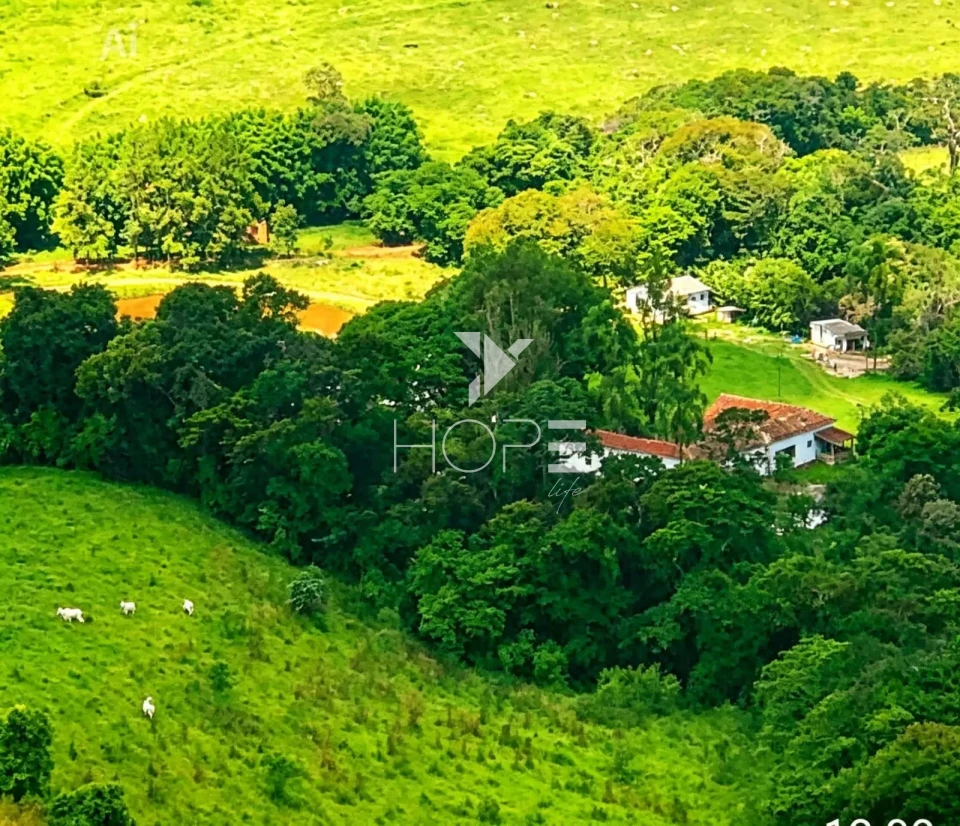 Imagens do imóveis Fazenda de Dupla Aptidão com 781 Hectares em Caxambu-MG – Haras, Pecuária e Agricultura