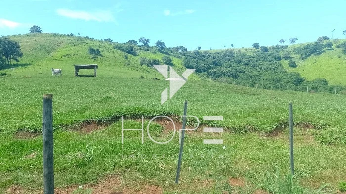 Imagens do imóveis Fazenda Porteira Fechada à Venda – 355 Alqueires – Nova Tebas/PR – Pecuária Montada (Nelore) – Estrutura Completa