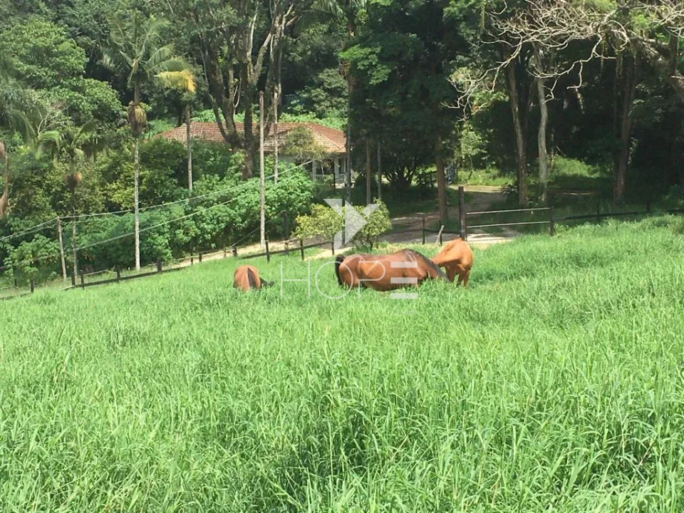 Imagens do imóveis Haras de alto padrão à venda com 7 alqueires - 36 baias - 26 piquetes - São Roque SP