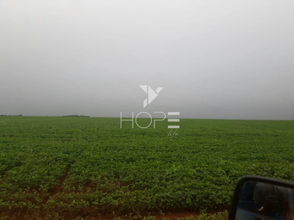 Imagens do imóveis Fazenda à venda 39.000 hectares dupla aptidão com armazém e pista de pouso – região de Confresa – Mato Grosso