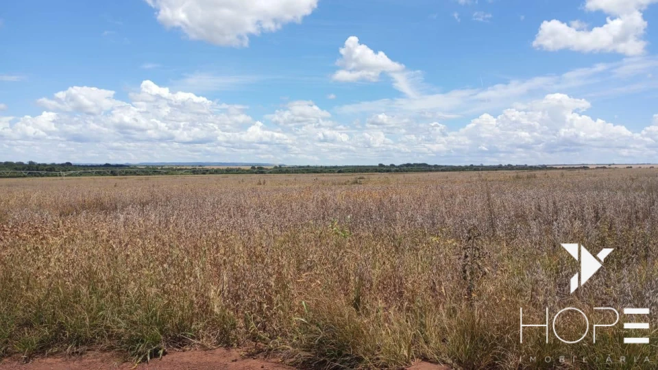 Imagens do imóveis Fazenda à Venda – Primavera do Leste – MT