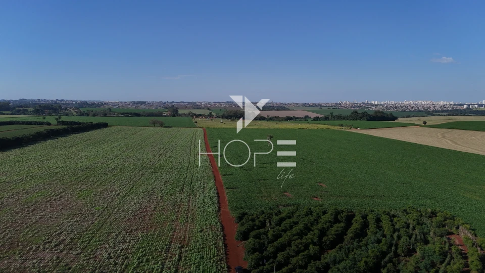 Imagens do imóveis Sítio à venda com 15 alqueires - 363.000m² - região do Bratislava - Londrina PR
