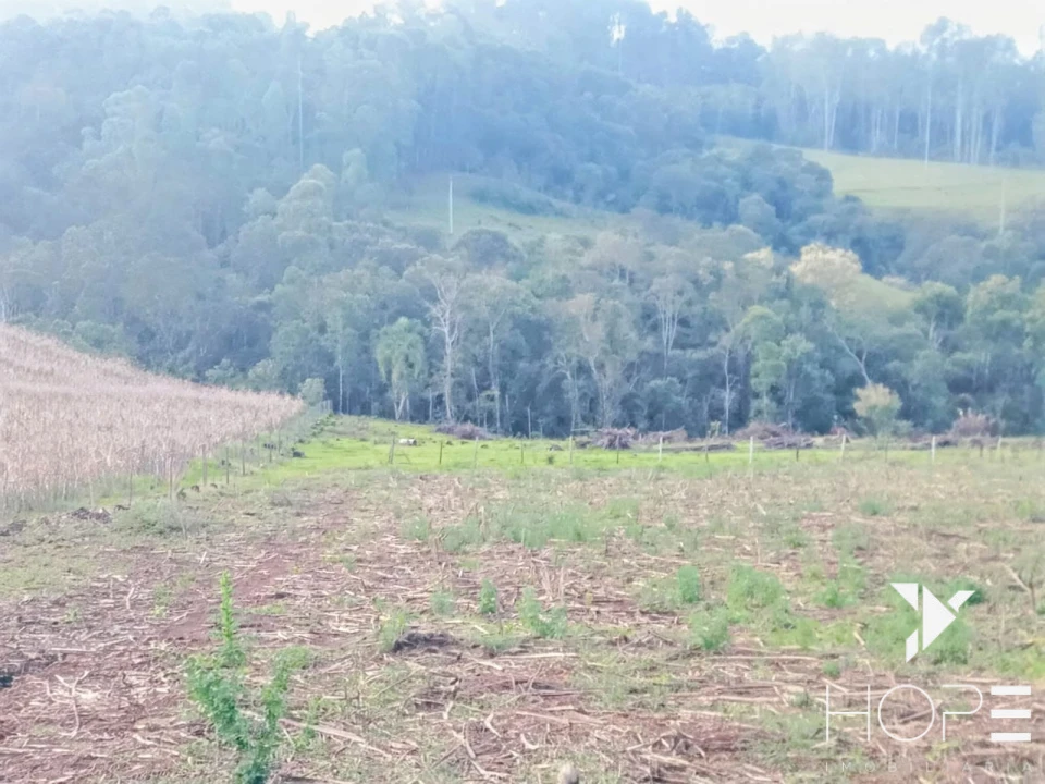 Imagens do imóveis Sítio à venda em Tamarana – Localização privilegiada na beira da estrada