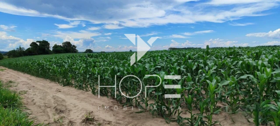 Fazenda de Alto Padrão à Venda – 56 Alqueires – Região de Sorocaba/SP