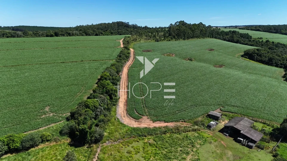 Imagens do imóveis Fazenda à venda com 75 alqueires (181.5 hectares) - agricultura e eucalipto - São Miguel Arcanjo SP