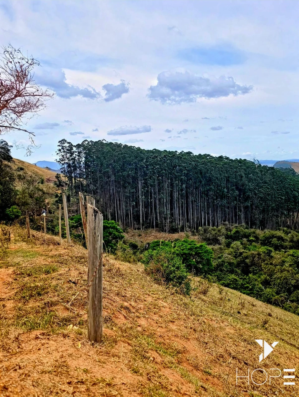 FAZENDA DE 216 ALQUEIRES COM EUCALIPTO À VENDA – VALE DO PARAÍBA/SP