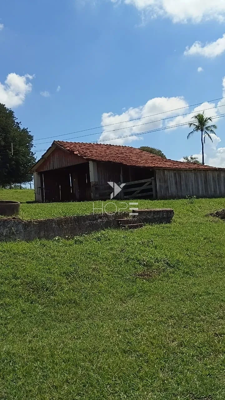 Imagens do imóveis Fazenda à venda com 204.5 alqueires - pecuária bovina - estrutura completa - região de Marília SP