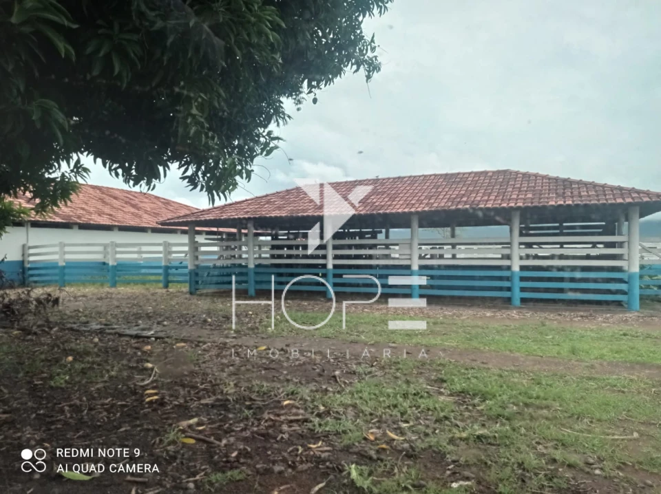 Fazenda à Venda em Formosa/GO – 1.002 Alqueires – Dupla Aptidão – Porteira Fechada