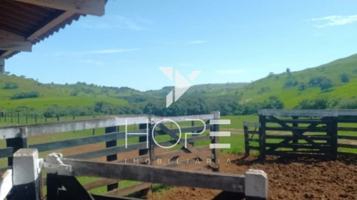 Imagens do imóveis Fazenda Porteira Fechada à Venda – 355 Alqueires – Nova Tebas/PR – Pecuária Montada (Nelore) – Estrutura Completa