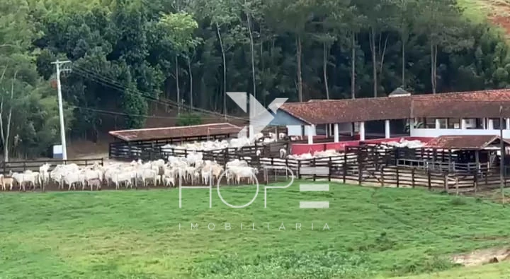 Imagens do imóveis Fazenda à venda 330 Alqueires – agricultura e pecuária estrutura completa – Vale do Paraíba – São Paulo