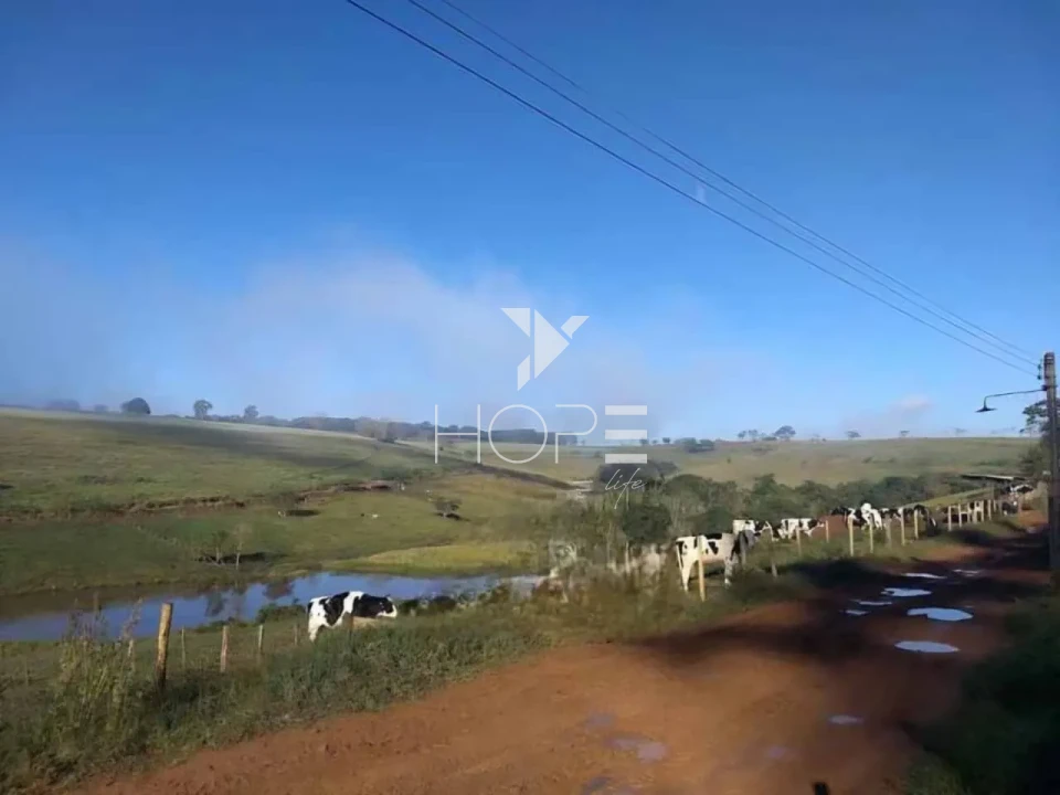 Imagens do imóveis fazenda leiteira à venda com 127 alqueires - laticínio próprio - porteira fechada - Pouso Alegre MG