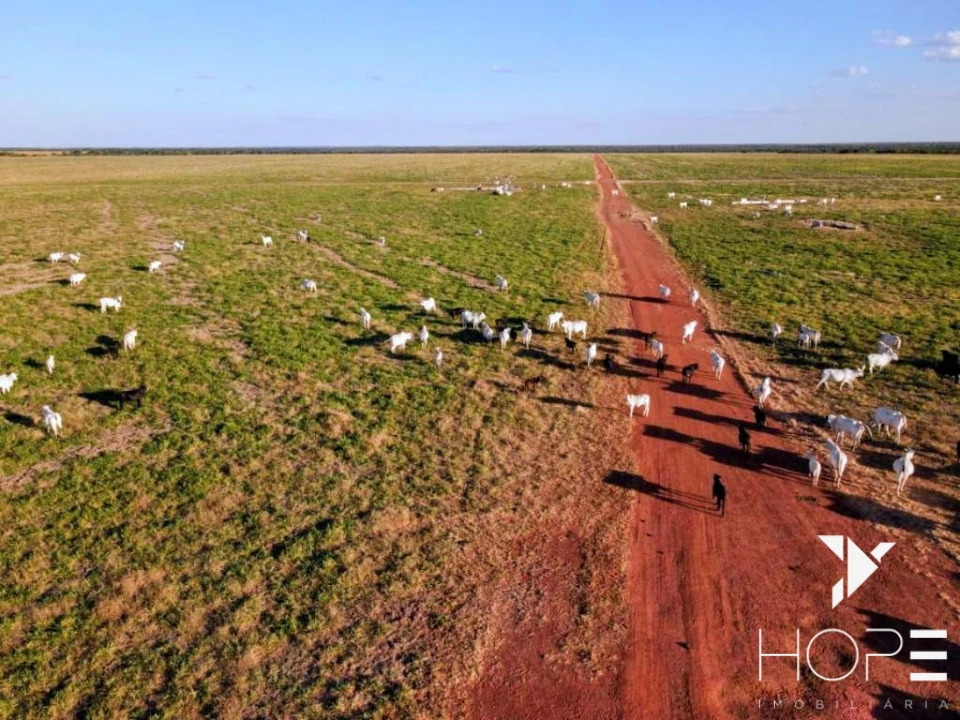 Imagens do imóveis Fazenda no Matogrosso de 33 mil hectare (13.636 Alqueires).