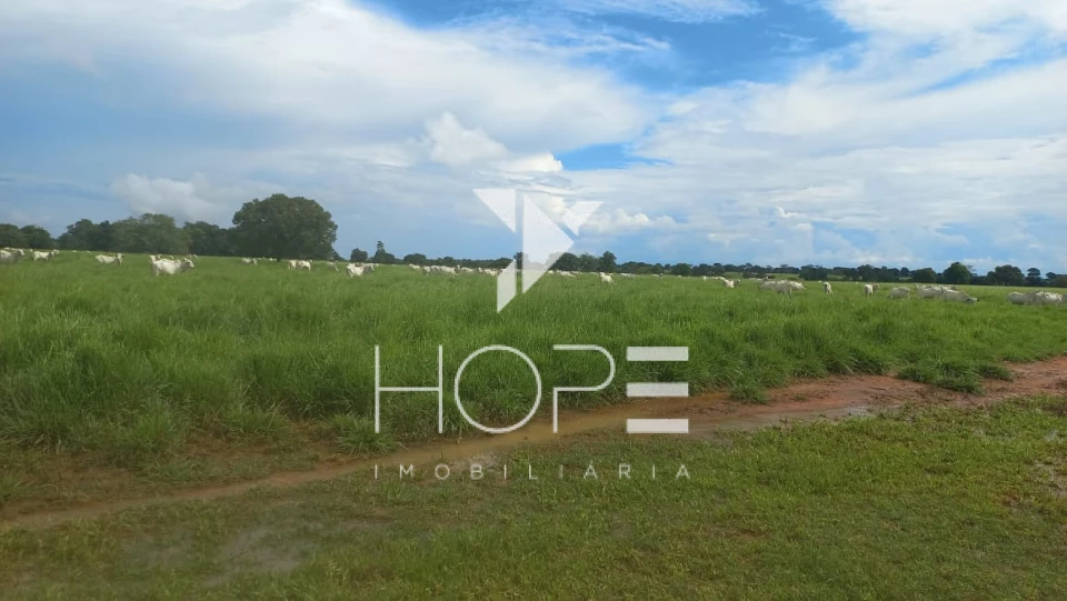 Imagens do imóveis Fazenda à Venda em Mundo Novo – 930 Alqueires – Dupla Aptidão – 47 Divisões de Pasto – Estrutura Completa de Pecuária