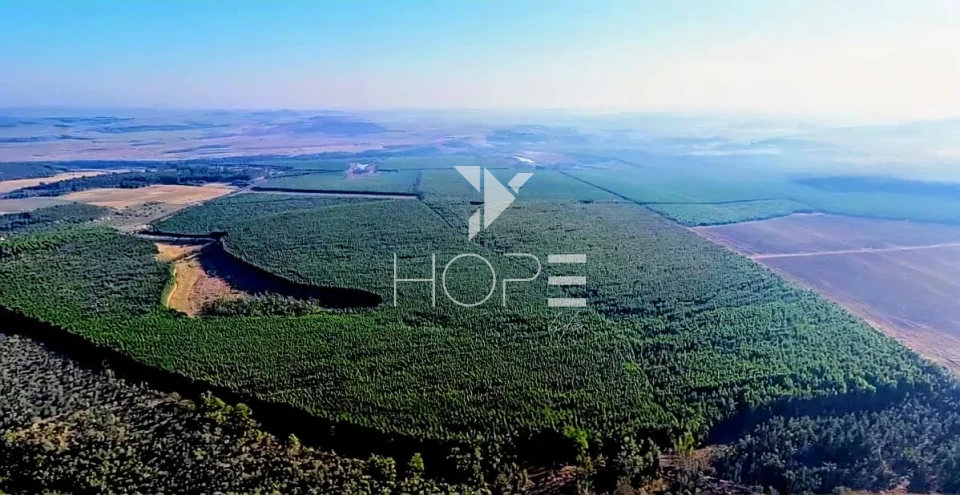 Imagens do imóveis Fazenda à venda com Eucalipto 321 alqueires - 777 hectares - arrendada Para Suzano - beira Rio Tietê - Itu SP