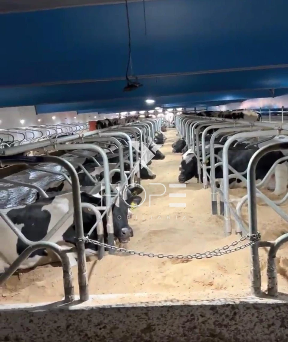 Imagens do imóveis Fazenda à venda 244.5 alqueires leiteria industrial e laticínio estruturado frente rodovia – região de Itapetininga – São Paulo